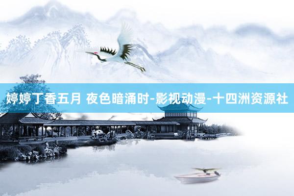 婷婷丁香五月 夜色暗涌时-影视动漫-十四洲资源社