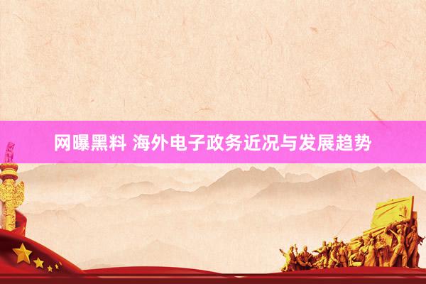 网曝黑料 海外电子政务近况与发展趋势
