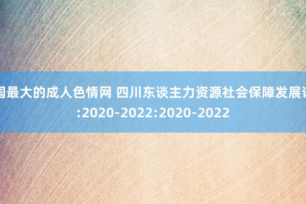 全国最大的成人色情网 四川东谈主力资源社会保障发展讲明:2020-2022:2020-2022