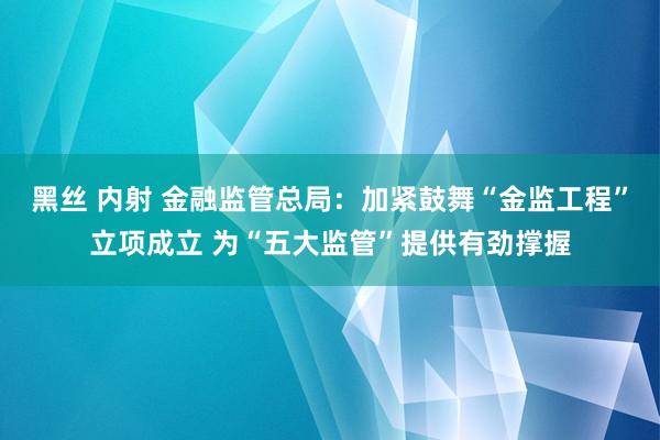 黑丝 内射 金融监管总局：加紧鼓舞“金监工程”立项成立 为“