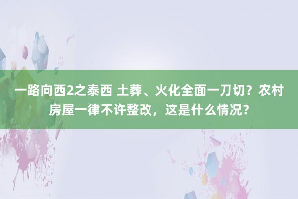 一路向西2之泰西 土葬、火化全面一刀切？农村房屋一律不许整改