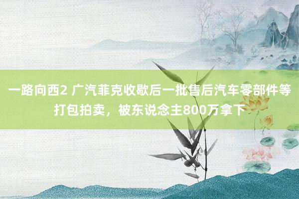 一路向西2 广汽菲克收歇后一批售后汽车零部件等打包拍卖，被东