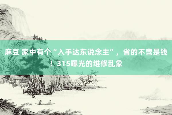 麻豆 家中有个“入手达东说念主”，省的不啻是钱！315曝光的