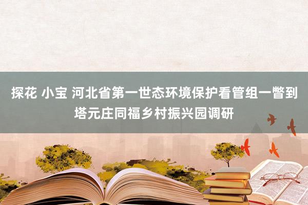 探花 小宝 河北省第一世态环境保护看管组一瞥到塔元庄同福乡村