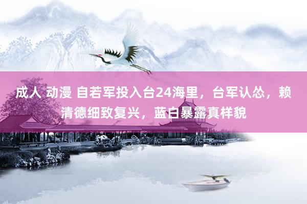 成人 动漫 自若军投入台24海里，台军认怂，赖清德细致复兴，