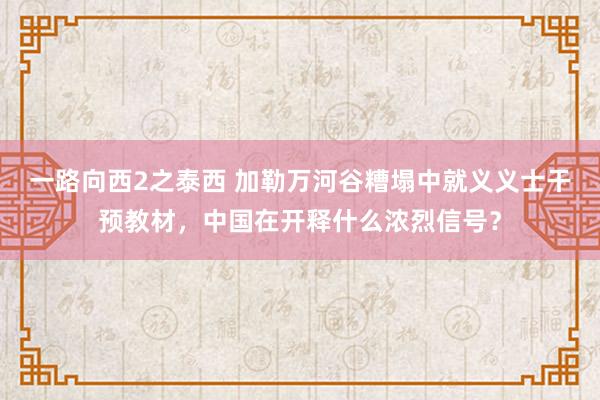 一路向西2之泰西 加勒万河谷糟塌中就义义士干预教材，中国在开