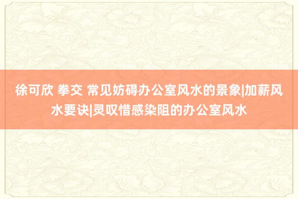 徐可欣 拳交 常见妨碍办公室风水的景象|加薪风水要诀|灵叹惜