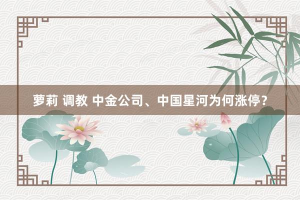 萝莉 调教 中金公司、中国星河为何涨停？