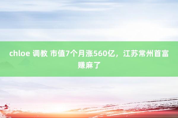 chloe 调教 市值7个月涨560亿，江苏常州首富赚麻了