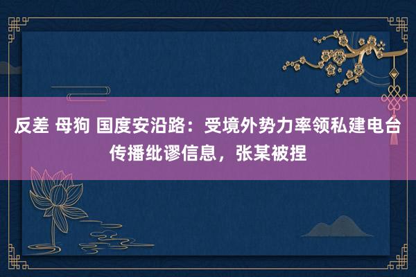 反差 母狗 国度安沿路：受境外势力率领私建电台传播纰谬信息，张某被捏